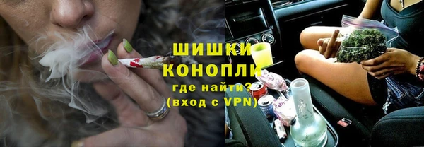 прущие грибы Верхний Тагил