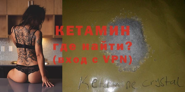индика Бородино