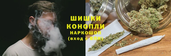 прущие грибы Верхний Тагил