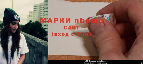 прущие грибы Верхний Тагил
