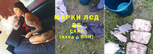 прущие грибы Верхний Тагил