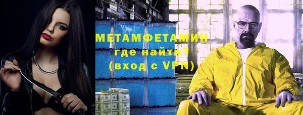 прущие грибы Верхний Тагил