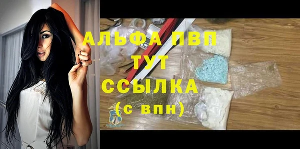 прущие грибы Верхний Тагил