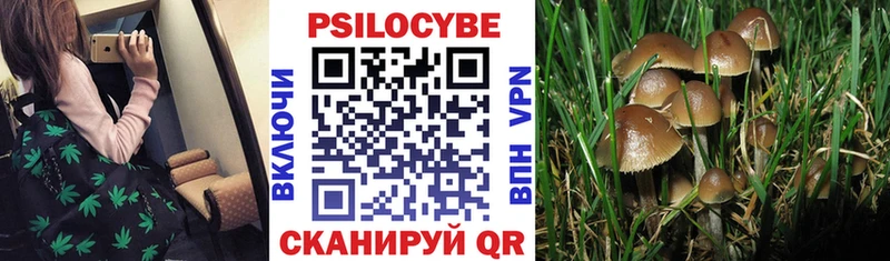 что такое наркотик  darknet какой сайт  Галлюциногенные грибы Cubensis  Суровикино 
